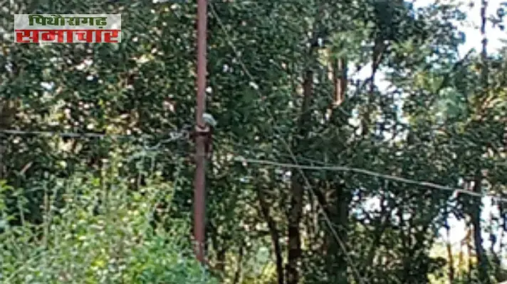 blog image